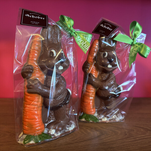 Nino der Hase mit dem Rüebli